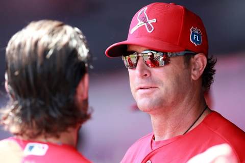 Mar 31, 2016; Tampa, FL, USA; St. Louis Cardinals manager Mike Matheny (22) talks with left fielder Randal Grichuk (15) against the New York Yankees at George M. Steinbrenner Field. Mandatory Credit: Kim Klement-USA TODAY Sports