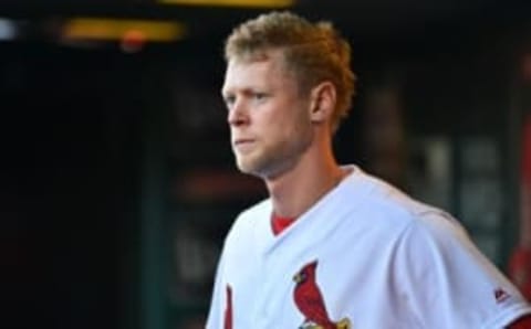 Apr 11, 2016; St. Louis, MO, USA; St. Louis Cardinals right fielder Jeremy Hazelbaker (41) looks on from the dugout in the game against the Milwaukee Brewers at Busch Stadium. Mandatory Credit: Jasen Vinlove-USA TODAY Sports