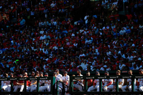 ST. LOUIS, MO – SEPTEMBER 23: Members of the St. Louis Cardinals watch the game against the San Francisco Giants in the sixth inning at Busch Stadium on September 23, 2018 in St. Louis, Missouri. (Photo by Dilip Vishwanat/Getty Images)