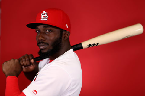 JUPITER, FLORIDA – FEBRUARY 21: Randy Arozarena #83 of the St. Louis Cardinals poses for a photo during photo days at Roger Dean Stadium on February 21, 2019 in Jupiter, Florida. (Photo by Rob Carr/Getty Images)