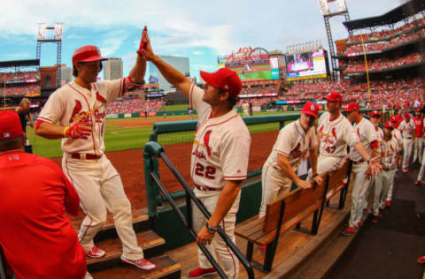 ST. LOUIS, MO – AUGUST 12: Manager Mike Matheny