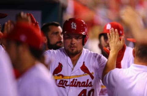 ST. LOUIS, MO – SEPTEMBER 25: Luke Voit