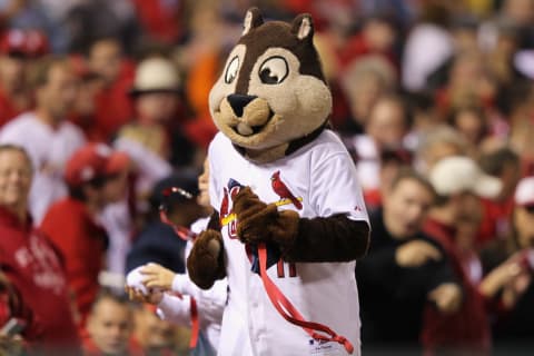 ST LOUIS, MO – OCTOBER 14: The St. Louis Cardinals Rally Squirrel runs around the stadium against the Milwaukee Brewers during Game Five of the National League Championship Series at Busch Stadium on October 14, 2011 in St Louis, Missouri. (Photo by Jamie Squire/Getty Images)