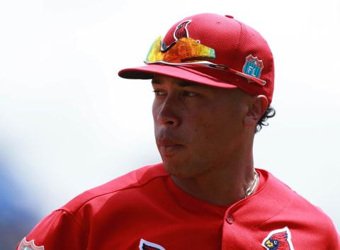 Mar 31, 2016; Tampa, FL, USA; St. Louis Cardinals second baseman Kolten Wong (16) at George M. Steinbrenner Field. Mandatory Credit: Kim Klement-USA TODAY Sports