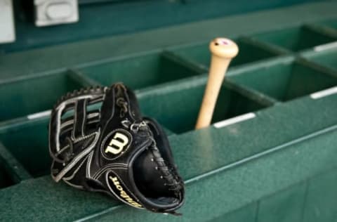 May 12, 2015; Detroit, MI, USA; A detailed view of a baseball glove and bat before the game between the Detroit Tigers and the Minnesota Twins at Comerica Park. Mandatory Credit: Tim Fuller-USA TODAY Sports