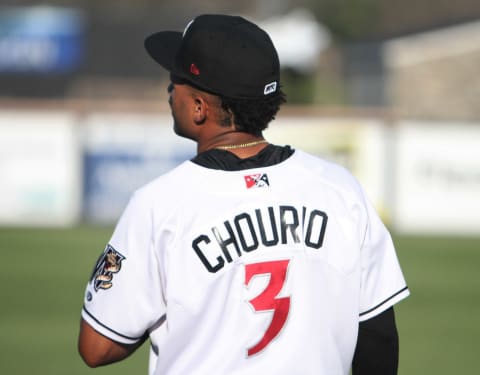 Milwaukee Brewers prospect Jackson Chourio makes his debut with the Class A Wisconsin Timber Rattlers on July 26, 2022.Ctk18098 2