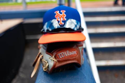 WEST PALM BEACH, FL – MARCH 07: A detailed view of the Wilson glove of J.D. Davis #28 of the New York Mets before the spring training game against the Washington Nationals at The Ballpark of the Palm Beaches on March 7, 2019 in West Palm Beach, Florida. (Photo by Mark Brown/Getty Images)