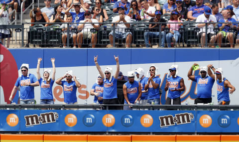 NEW YORK, NY – AUGUST 11: Mets fans in the outfield wear Polar Bear hats cheering when Pete Alonso #20 of the New York Mets comes to bat as they wear the hats because Alonso has the nickname of Polar Bear in an MLB baseball game against the Washington Nationals on August 11, 2019 at Citi Field in the Queens borough of New York City. Nationals won 7-4. (Photo by Paul Bereswill/Getty Images)