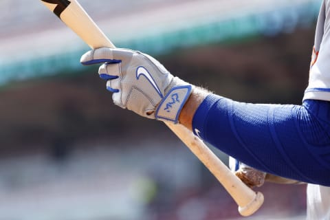 CINCINNATI, OH – SEPTEMBER 07: Detailed view of Nike batting gloves worn by James Loney #28 of the New York Mets against the Cincinnati Reds during the game at Great American Ball Park on September 7, 2016 in Cincinnati, Ohio. The Mets defeated the Reds 6-3. (Photo by Joe Robbins/Getty Images)