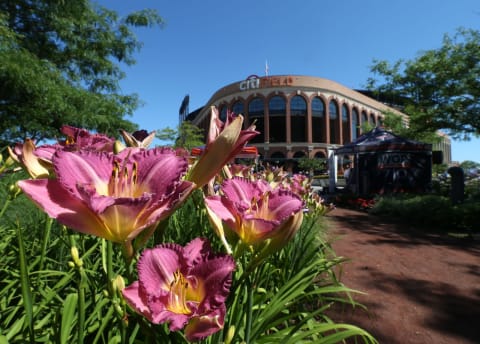 NEW YORK, NY – JULY 08: Exterior of Citi Field before a game between the Tampa Bay Rays and New York Mets on July 8, 2018 in the Flushing neighborhood of the Queens borough of New York City. (Photo by Rich Schultz/Getty Images)