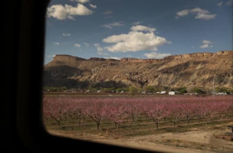 GRAND JUNCTION, CO – MARCH 24: Amtrak’s California Zephyr rolls past a farm during its daily 2,438-mile trip to Emeryville/San Francisco from Chicago that takes roughly 52 hours on March 24, 2017 in Grand Junction, United States. President Trump has proposed a national budget that would terminate federal support for Amtrak’s long distance train services, which would affect the California Zephyr and other long distance rail lines run by Amtrak. (Photo by Joe Raedle/Getty Images)