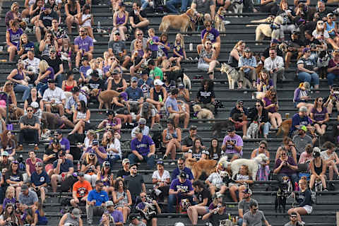 DENVER, CO – AUGUST 13: Fans and their dogs watch the game from the “rockpile” bleacher seat section in a general view during “Bark at the Park” promotion during a game between the Colorado Rockies and the Arizona Diamondbacks at Coors Field on August 13, 2019 in Denver, Colorado. (Photo by Dustin Bradford/Getty Images)