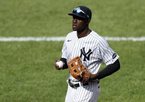 NEW YORK, NEW YORK – AUGUST 28: Estevan Florial #90 of the New York Yankees in action against the New York Mets at Yankee Stadium on August 28, 2020 in New York City. The Mets defeated the Yankees 6-4. (Photo by Jim McIsaac/Getty Images)