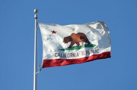 SANTA CLARA, CA – JUNE 06: The official state of California flag is flown during the Copa America Centenario Group D match between Argentina and Chile at Levi’s Stadium on June 6, 2016 in Santa Clara, California. (Photo by Chris Brunskill Ltd/Getty Images)