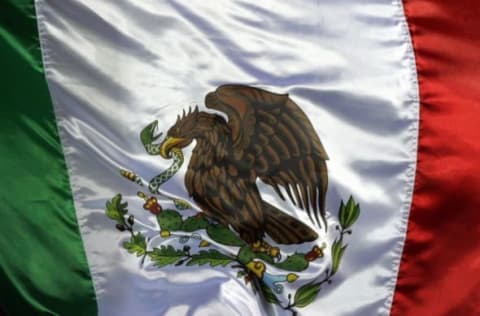 PASADENA, CA – MARCH 03: A Mexican flag is unfurled by a supporter prior to the International Friendly match between New Zealand and Mexico at the Rose Bowl on March 3, 2010 in Pasadena, California. Mexico defeated New Zealand 2-0. (Photo by Victor Decolongon/Getty Images)