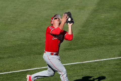 GOODYEAR, AZ – MARCH 08: Matt Thaiss #85 of the Los Angeles Angels cathces a fly ball in foul territory in the eighth inning during the spring training game at Goodyear Ballpark on March 8, 2017 in Goodyear, Arizona. (Photo by Tim Warner/Getty Images)