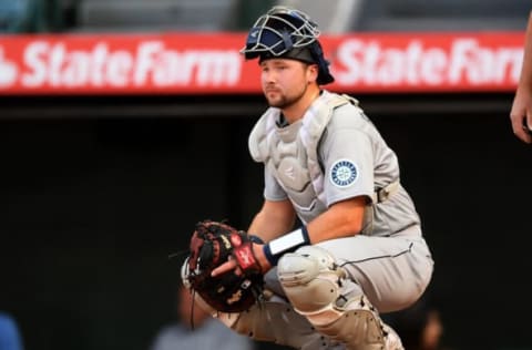 ANAHEIM, CA – JULY 16: Cal Raleigh #29 of the Seattle Mariners waits behind the plate during the game against the Los Angeles Angels at Angel Stadium of Anaheim on July 16, 2021 in Anaheim, California. (Photo by Jayne Kamin-Oncea/Getty Images)