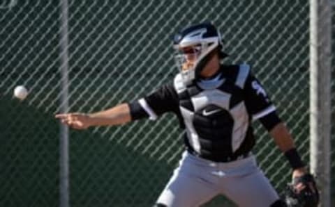 Feb 25, 2016; Glendale, AZ, USA; Chicago White Sox catcher Alex Avila (31) flips the ball during a workout at Camelback Ranch Practice Fields. Mandatory Credit: Joe Camporeale-USA TODAY Sports