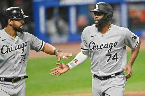 White Sox left fielder Eloy Jimenez. Mandatory Credit: Ken Blaze-USA TODAY Sports