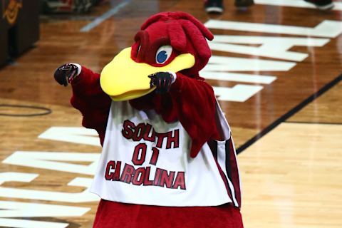 Apr 1, 2017; Glendale, AZ, USA; South Carolina Gamecocks mascot performs before the game against the Gonzaga Bulldogs in the semifinals of the 2017 NCAA Men’s Final Four at University of Phoenix Stadium. Mandatory Credit: Mark J. Rebilas-USA TODAY Sports