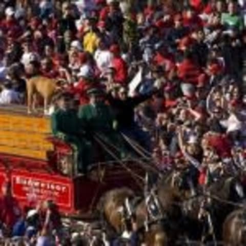 Oct 31, 2008; Philadelphia, PA, USA; Philadelphia Phillies left fielder Pat Burrell (5) rides with the Budweiser Clydesdales during the parade honoring the World Series championship outside of Citizens Bank Park. Mandatory Credit: Howard Smith-US PRESSWIRE