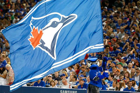 May 27, 2016; Toronto, Ontario, CAN; Toronto Blue Jays mascot Ace waves a Blue Jays flag during the seventh inning stretch during MLB game action against the Boston Red Sox at Rogers Centre. Mandatory Credit: Kevin Sousa-USA TODAY Sports