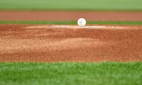 Jun 15, 2016; Philadelphia, PA, USA; Baseball waits on the mound before start of game between Philadelphia Phillies and Toronto Blue Jays at Citizens Bank Park. Mandatory Credit: Eric Hartline-USA TODAY Sports