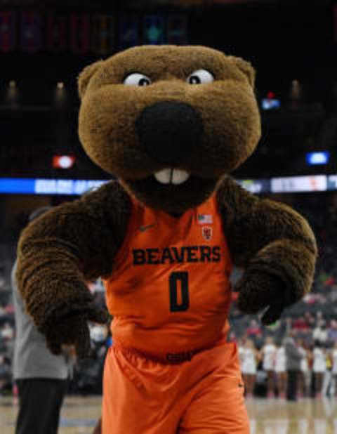 LAS VEGAS, NV – MARCH 08: Oregon State Beavers mascot Benny the Beaver performs during the team’s quarterfinal game of the Pac-12 basketball tournament against the USC Trojans at T-Mobile Arena on March 8, 2018 in Las Vegas, Nevada. The Trojans won 61-48. (Photo by Ethan Miller/Getty Images)