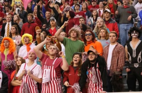 Oct 31, 2015; Fayetteville, AR, USA; Arkansas Razorbacks fans in Halloween costumes cheer during the game against the Tennessee Martin Skyhawks at Donald W. Reynolds Razorback Stadium. Arkansas defeated UTM 63-28. Mandatory Credit: Nelson Chenault-USA TODAY Sports