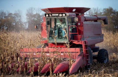 BURLINGTON, IA – OCTOBER 22: Ninety-three-year-old Lyman Howe harvests corn on the family farm on October 22, 2015 near Burlington, Iowa. Howe, who has farmed his entire life, now lives in a nursing home but his family picks him each day so he can still work on the farm. According to the National Corn Growers Association, the overall corn crop is on track to have the secind highest average yield on record. (Photo by Scott Olson/Getty Images)