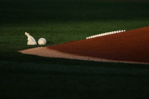 A detail photo of a baseball and rosin bag on the mound. (Photo by Sean M. Haffey/Getty Images)