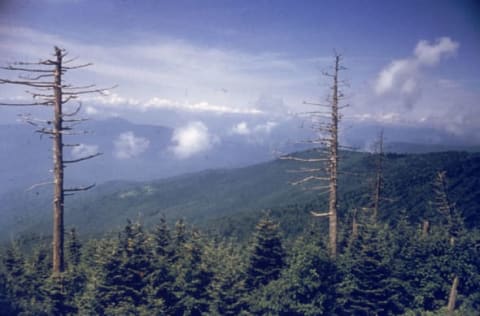 View from Clingman’s Dome in the Great Smoky Mountains, Tennessee, circa 1960. (Photo by Hulton Archive/Getty Images)