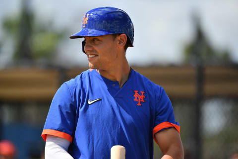 Michael Conforto (Photo by Mark Brown/Getty Images)