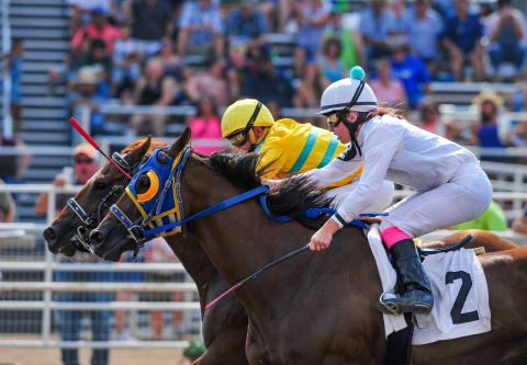 Could the Atlanta Braves end up in a photo finish for the NL East crown?07312021 Horse Racing Montana State Fair G