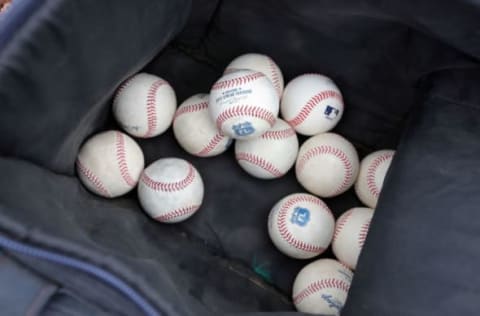 Feb 14, 2017; Tampa, FL, USA; A bag of 2017 Spring Training MLB baseballs as pitchers and catchers report for spring training at George M. Steinbrenner Field. Mandatory Credit: Kim Klement-USA TODAY Sports