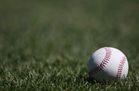 Jun 12, 2016; Pittsburgh, PA, USA; A major league baseball rest in the grass prior to the game between the Pittsburgh Pirates and the St. Louis Cardinals at PNC Park. Mandatory Credit: Charles LeClaire-USA TODAY Sports