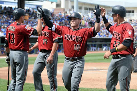 Arizona Diamondbacks catcher Chris Herrmann. Credit: Joe Camporeale-USA TODAY Sports