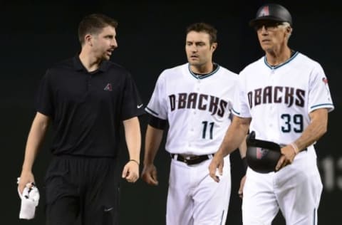 Diamondbacks outfielder A.J. Pollock (11) is walked off the field between athletic trainer Ryan DiPanfilo and first base coach Dave McKay (39) in the first inning of the game after San Francisco Giants at Chase Field. (Jennifer Stewart-USA TODAY Sports)