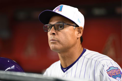 Tony Perezchica #8 of the Arizona Diamondbacks (Photo by Jennifer Stewart/Getty Images)