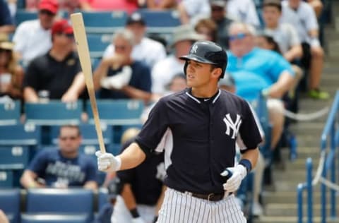 Apr 2, 2015; Tampa, FL, USA; New York Yankees third baseman Eric Jagielo (86) at bat against the Pittsburgh Pirates at George M. Steinbrenner Field. Mandatory Credit: Kim Klement-USA TODAY Sports