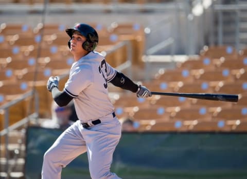 Oct 11, 2016; Glendale, AZ, USA; Scottsdale Scorpions designated hitter Greg Bird of the New York Yankees bats against the Glendale Desert Dogs during an Arizona Fall League game at Camelback Ranch. Mandatory Credit: Mark J. Rebilas-USA TODAY Sports