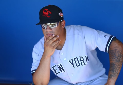 Oct 11, 2016; Glendale, AZ, USA; Scottsdale Scorpions outfielder Gleyber Torres of the New York Yankees against the Glendale Desert Dogs during an Arizona Fall League game at Camelback Ranch. Mandatory Credit: Mark J. Rebilas-USA TODAY Sports