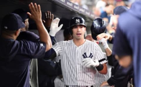 Tyler Wade #14 of the New York Yankees (Photo by Emilee Chinn/Getty Images)