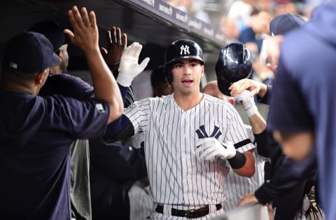 Tyler Wade #14 of the New York Yankees (Photo by Emilee Chinn/Getty Images)