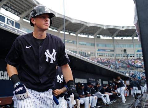 DJ LeMahieu #26 of the New York Yankees (Photo by Mark Brown/Getty Images)