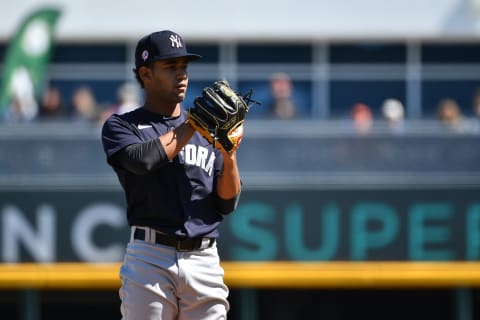 Deivi Garcia #83 of the New York Yankees (Photo by Mark Brown/Getty Images)