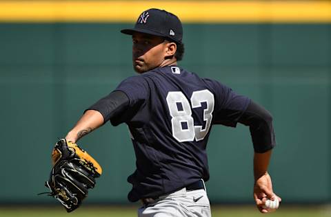 New York Yankees pitcher Deivi Garcia (Photo by Mark Brown/Getty Images)