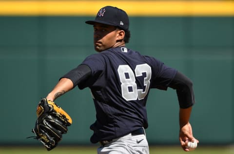 New York Yankees pitcher Deivi Garcia (Photo by Mark Brown/Getty Images)