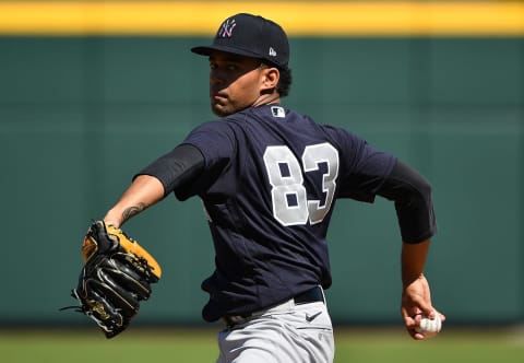 Deivi Garcia #83 of the New York Yankees (Photo by Mark Brown/Getty Images)