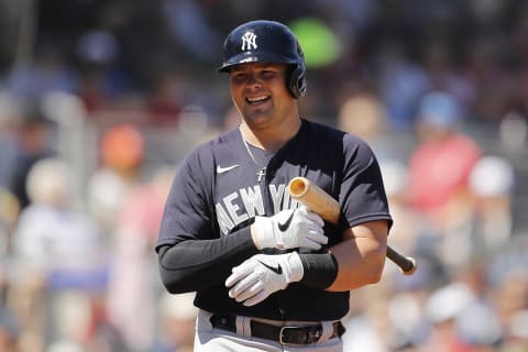 Luke Voit #59 of the New York Yankees (Photo by Michael Reaves/Getty Images)